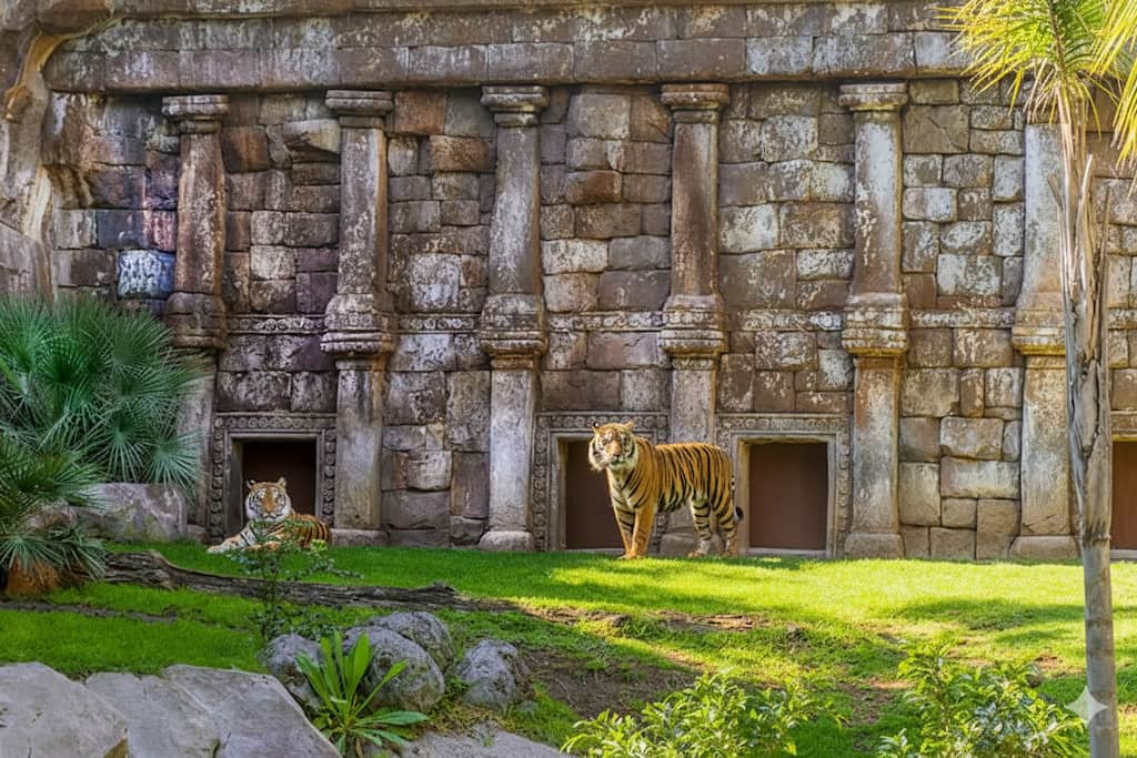 Bioparc Fuengirola