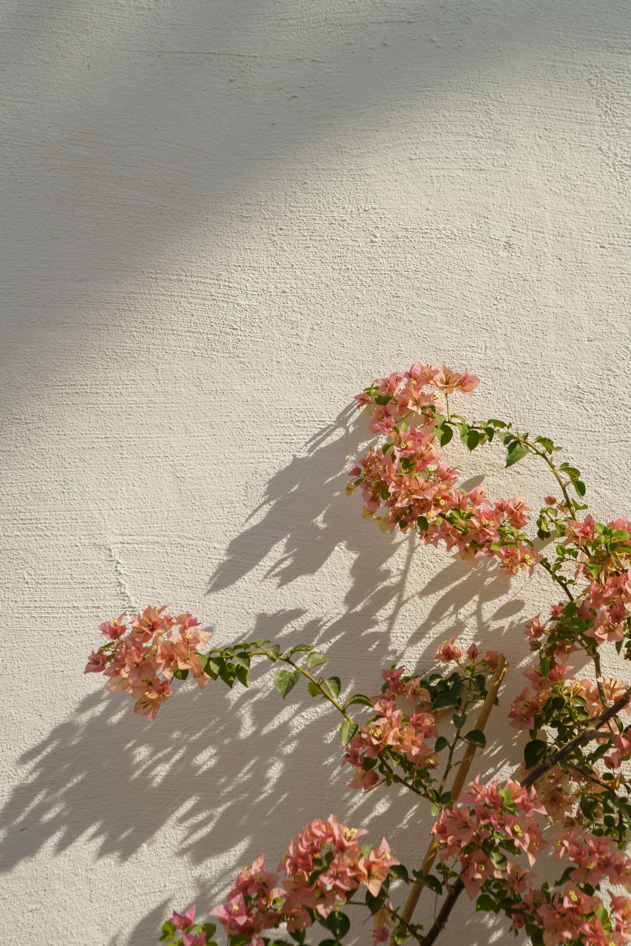 Sustainability