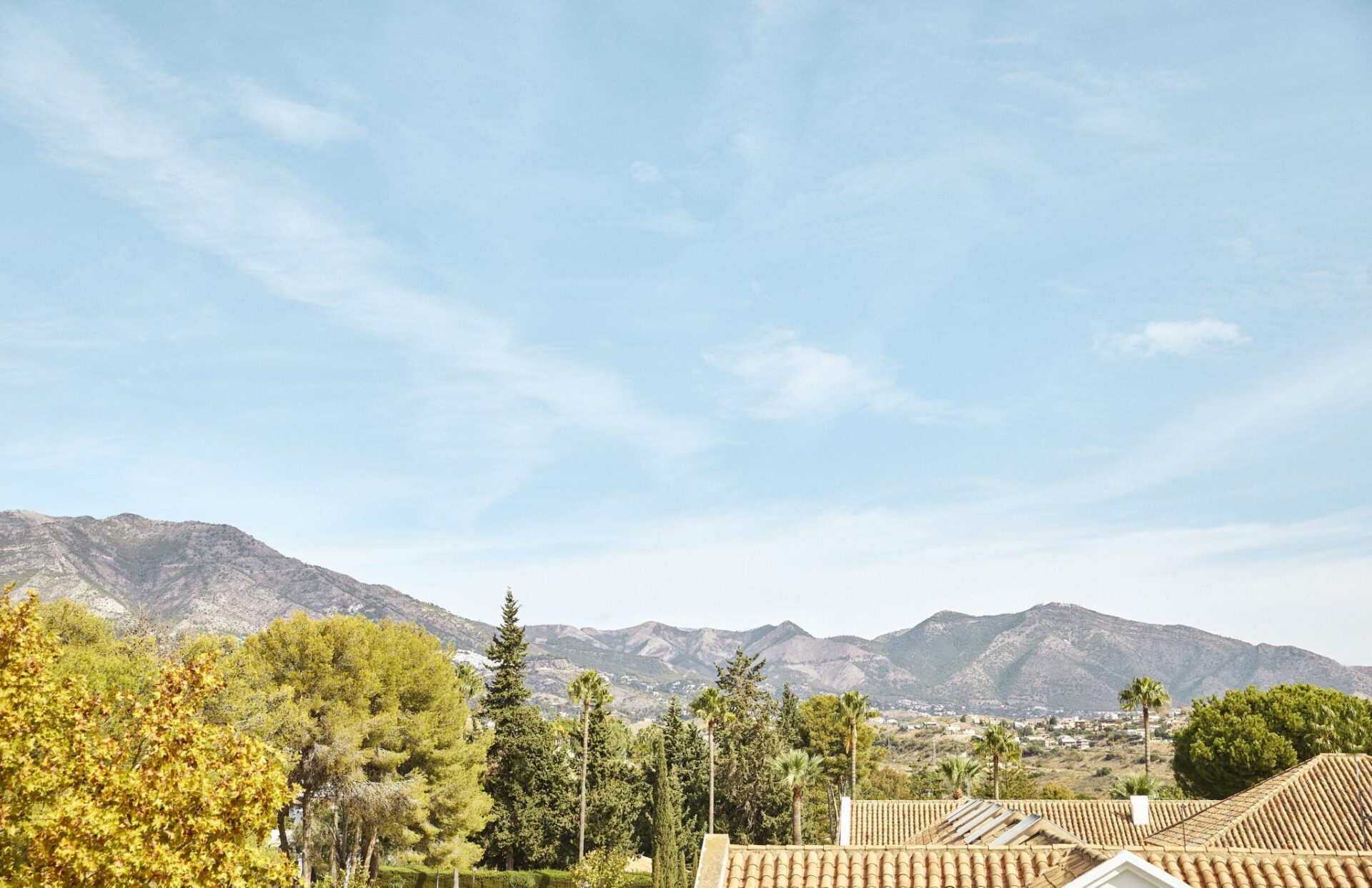 Junior Suite Garden View