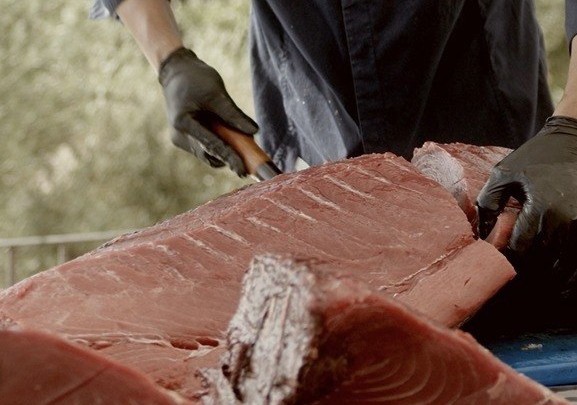Atún rojo de Almadraba de alta calidad listo para su elaboración gastronómica